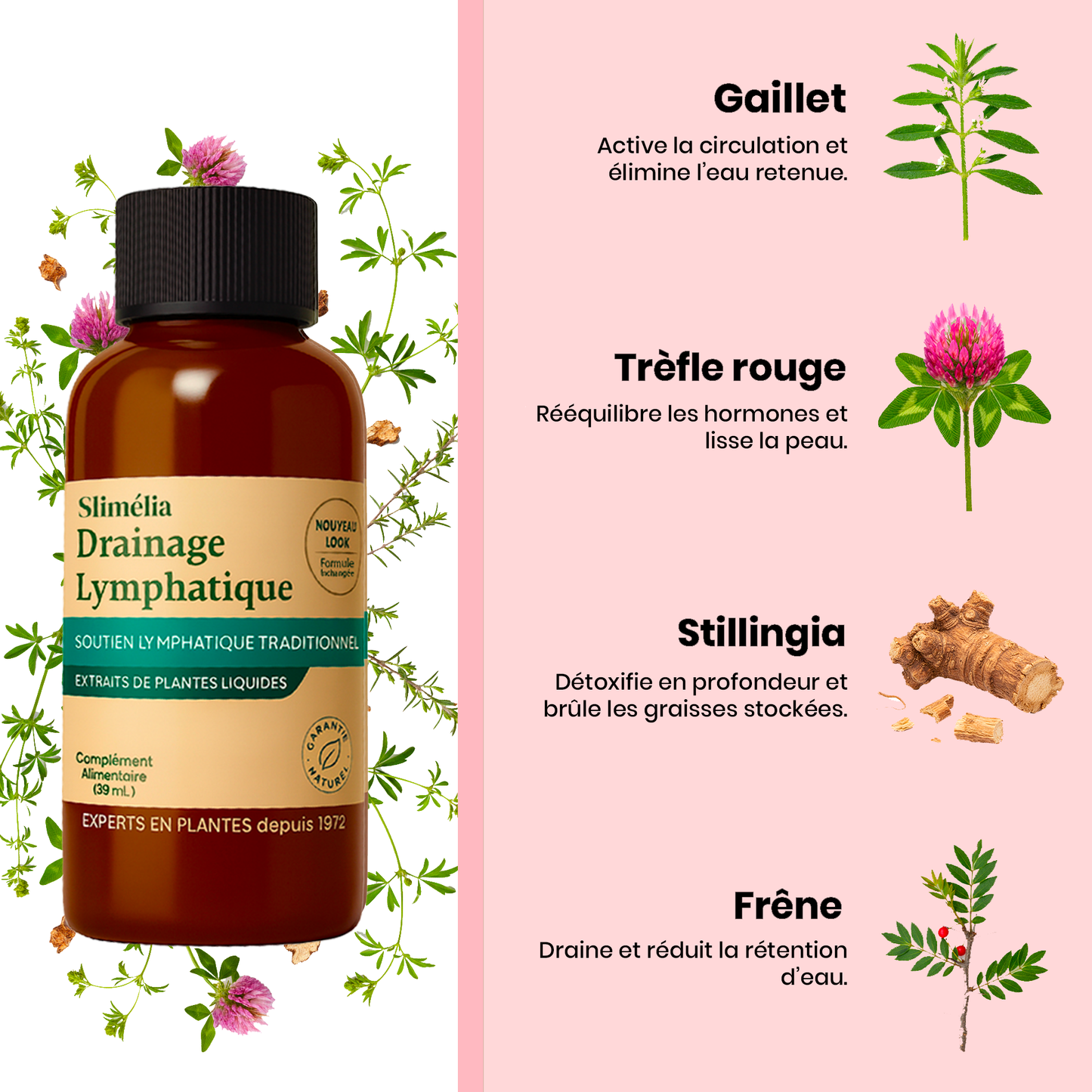 Slimélia® : Cure Détox Drainante 100% Naturelle